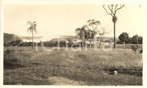 Fotografia d epoca originale 1930 ca ARGENTINA Cascate dell  IGUAZÃš viste dall altopiano  Foto VINTAGE 14x9 1