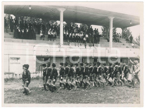 Fotografia d epoca originale 1935 ca FASCISMO Area NOVARA  Parata balilla  Piccole italiane  Foto 24x18 1