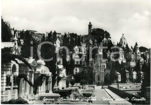 Cartolina originale da collezione 1950 ca GENOVA Cimitero di STAGLIENO Veduta delle Cappelle  Cartolina FG NV 1