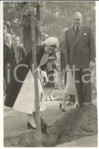 Fotografia d epoca originale 1957 PARIS  ELISABETTA II pianta un ciliegio nel giardino dell ambasciata Foto 1