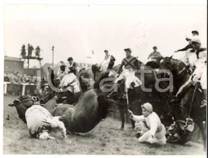 1959 AINTREE Grand National - Stan MELLOR on THE CROFTER falling from the fence