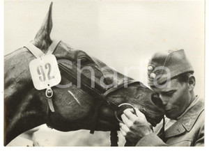 1956 STOCCOLMA XVI Olimpiade - EQUITAZIONE Petrus KASTENMAN abbraccia ILLUSTER Fotografia d'epoca, con didascalia coeva al verso. CONDIZIONI: FAIR (bassa qualit&agrave; di stampa; lievi aloni)FORMATO: 18x13 cm    originale e autentica 1