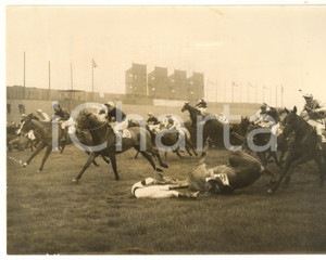 1957 AINTREE Grand National - Peter PICKFORD on HART ROYAL falling to the ground
