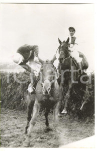 1958 LIVERPOOL Snapdragon Handicap - P. J. FOX managing to stay with PROVIDENT Fotografia d'epoca, con didascalia coeva al verso. CONDIZIONI: FAIR (bassa qualit&agrave; di stampa)FORMATO: 13x20 cm    originale e autentica 1