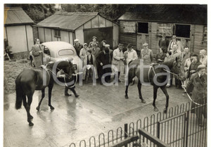 1954 EPSOM - Horses FRANCASAL and SANTA AMARO auctioned *Photo 20x15