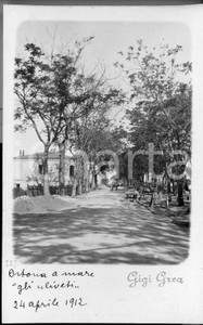1912 ORTONA A MARE Gli uliveti *FOTOCARTOLINA AUTENTICA