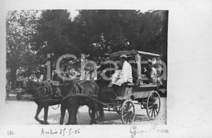 Fotografia d epoca originale 1906 ANZIO A spasso in calesse  Fotocartolina autentica 1