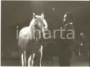 1985 ca FRANCE Teatro ZINGARO - Inserviente dà savoiardi a un cavallo *Foto