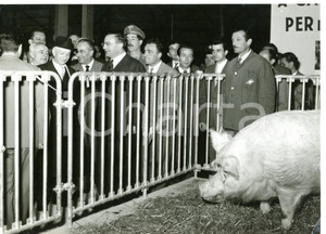 1957 MILANO Fiera Campionaria - Antonio SEGNI in visita ufficiale *Foto 18x13 cm