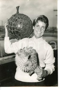 1958 LONDON Actress Gina WHITE with a porcupinefish *Photo VINTAGE 14x20 cm