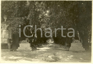 Fotografia d epoca originale 1930 CASTEL GANDOLFO RM Villa BARBERINI  Viale delle SFINGI Fotografia 1