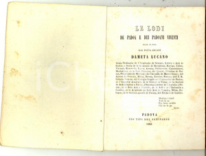 Libro, pubblicazione d epoca 1862 Lucano DAMETA Le lodi de Padoa e dei Padoani viventi RARO 72 pp. 1