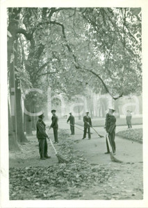 Fotografia d epoca originale 1935 ca MILANO Giardinieri pubblici ramazzano foglie secche dal PARCO SEMPIONE 1