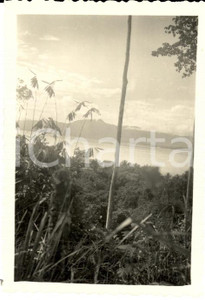 Fotografia d epoca originale 1938 ARGOENIBAI PAPUA L ampia costa vista dal MANGGAI 1