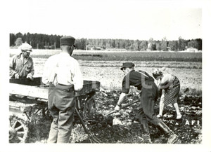 Fotografia d epoca originale 1941 CARELIA WW2 Contadini lavorano terre riannesse alla FINLANDIA Fotografia 1