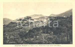 Cartolina originale da collezione 1953 CARPINETO ROMANO RM Panorama da Villa PECCI Cartolina FP VG 1