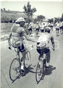 1967 GIRO D'ITALIA Vittorio ADORNI punzecchia il gregario Italo MAZZACURATI Fotografia d'epoca con didascalia coeva.  CONDIZIONI: G FORMATO: 13x18 cm     originale e autentica 1