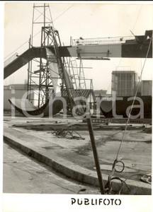 1954 MILANO Fiera Campionaria - Rinnovo e restauro dei padiglioni *Foto 13x18 cm