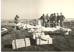 1954 LENTINI Scontro tra aerei militari HARPOON - Recupero salme *Foto 18x13 cm