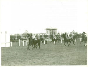Fotografia d epoca originale 1936 MILANO IPPODROMO SAN SIRO Cavallo ColibrÃ¬ al traguardo premio d apertura 1
