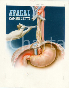 Materiale pubblicitario d’epoca 1960 ca ZAMBELETTI Prova stampa pubblicità AVAGAL Illustrata colori 1