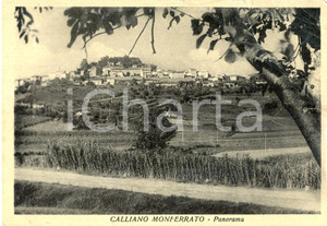Cartolina originale da collezione 1952 CALLIANO (AT) Scorcio panoramico del paese *Cartolina postale FG VG 1
