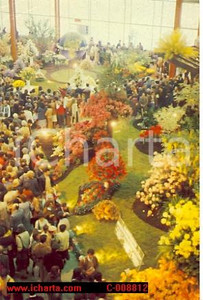 Cartolina originale da collezione 1986 GENOVA Fiera EUROFLORA Esposizione fiori Panorama VINTAGE Cartolina FG NV 1