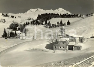 Cartolina originale da collezione 1950 ca MONTE FARNO BG Veduta campi da sci con Pizzo FORMICO Cartolina FG VG 1