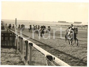 1956 NEWMARKET Cesarewitch Handicap - Edward HILDE winning on PRELONE *Photo