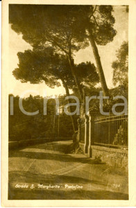 Cartolina originale da collezione 1940 ca PORTOFINO (GE) Veduta della strada per SANTA MARGHERITA *Cartolina FP NV 1