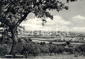 Cartolina originale da collezione 1961 APRICENA FG Veduta del paese e degli uliveti Cartolina postale FG VG 1