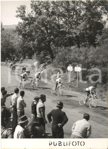 1955 CICLISMO GIRO D'ITALIA LE ROURET Passaggio della corsa - Foto 13x18 cm
