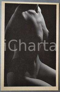 1960 ca VINTAGE EROTIC Bust of a nude woman - Photo Raymond VAN DOREN 27x41 cm Fotografia originale di Raymond Van Doren, montata su cartoncino rigido.FORMATO: 27x41 cmCONDIZIONI: G     originale e autentica 1