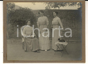Fotografia d epoca originale 1900 ca AREA LOMBARDA Donne in cortile con il cagnolino Foto VINTAGE 12x9 1