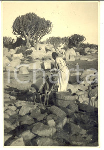 Fotografia d epoca originale 1940 ca AOI ETIOPIA ? Donna carica un asino da soma Foto 11x17 cm 1