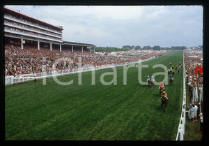 Fotografia d epoca originale 35mm vintage slide 1983 EPSOM DERBY  Lester PIGGOTT wins riding TEENOSO 1