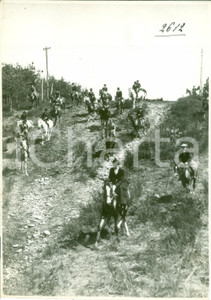 Fotografia d epoca originale 1935 ca BRIANZA Battuta di caccia alla volpe in campagna FOTOGRAFIA 1