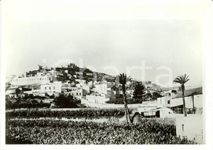 Fotografia d epoca originale 1935 ca LAS PALMAS Gran Canaria Veduta panoramica della cittÃ  Fotografia 1