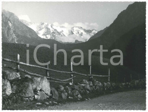 Fotografia d epoca originale 1955 ca VAL PAGHERA / VEZZA  Gruppo del  Baitone Foto Gualtiero LAENG FIRMATA 1