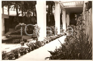 Fotografia d'epoca originale 1938 SANREMO (IM) Padiglione delle orchidee a BIENNALE 1