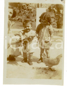 Fotografia d epoca originale 1914 AREA POLESANA Ugo e Bianca CATTANEO bambini con galline Foto 1
