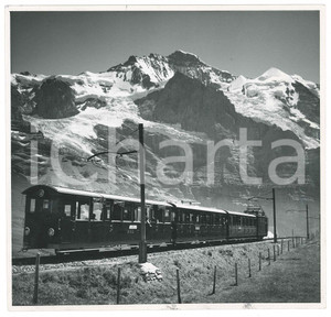Fotografia d epoca originale 1950 ca SVIZZERA Wengernalpbahn  Ferrovia WAB  Foto 19x18 cm 1
