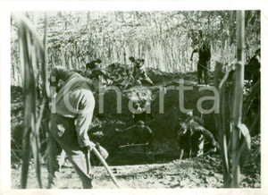 Fotografia d epoca originale 1942 SUD ITALIA WWII Carcerati tedeschi Organisation TODT scavano trincee FOTO 1
