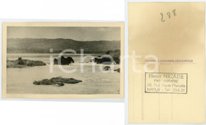 1930 C. ZAGOURSKI «L'Afrique qui disparaît» OUGANDA La source du Nil ^Postcard  Fotocartolina postale d'epoca, appartenente alla 2^ serie &laquo;L'Afrique qui dispara&icirc;t&raquo; del fotografo Casimir Zagourski (L&eacute;opoldville).N&deg;135, non viaggiata.Timbro ulteriore al verso del fotografo Henri Nicaise - Namur.CONDIZIONI: GFORMATO: 14x9 cm    originale e autentica 1