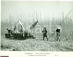 Fotografia d epoca originale 1940 ca TORVISCOSA UD Cellulosa Italiana Tagliacanne meccanico al lavoro FOTO 1