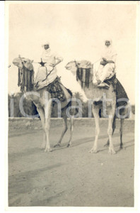 Fotografia d epoca originale 1931 GADAMES LIBIA Principe UMBERTO di SAVOIA e Maria José vestiti da Tuareg 1