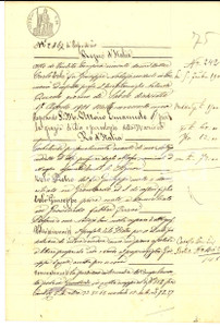 Documento originale, autentico 1901 GRONTARDO CR Pietro TELO  vende campo REMONDO al figlio Giuseppe 1