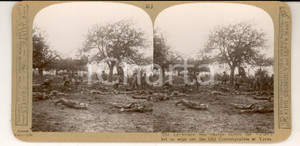 Fotografia d epoca originale 1918 WW1 THE GREAT WAR The LEICESTERS  fine charge  YPRES Stereoscopic nÂ° 23 1