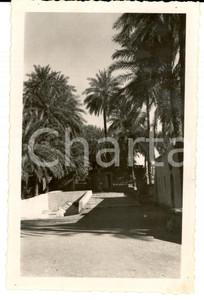Fotografia d'epoca originale 1934 GADAMES (LIBIA) Verso la sorgente Gino MATTEUCCI *Prototipo di cartolina 1