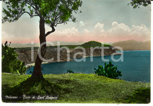 Cartolina originale da collezione 1964 MILAZZO (ME) Baia di Sant'Antonio *Cartolina FG VG 1